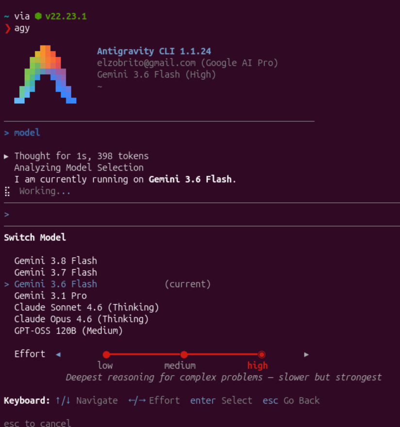 Gemini 3.8 Flash in the Antigravity CLI 1.1.24 model picker, with effort set to high.
